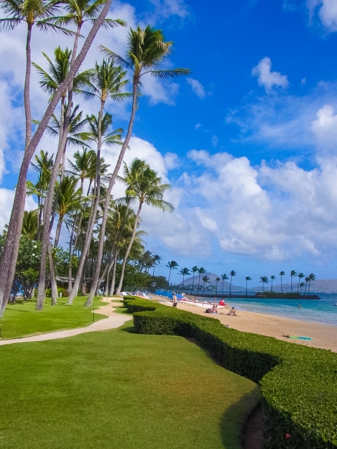 Hawaiian-seaside