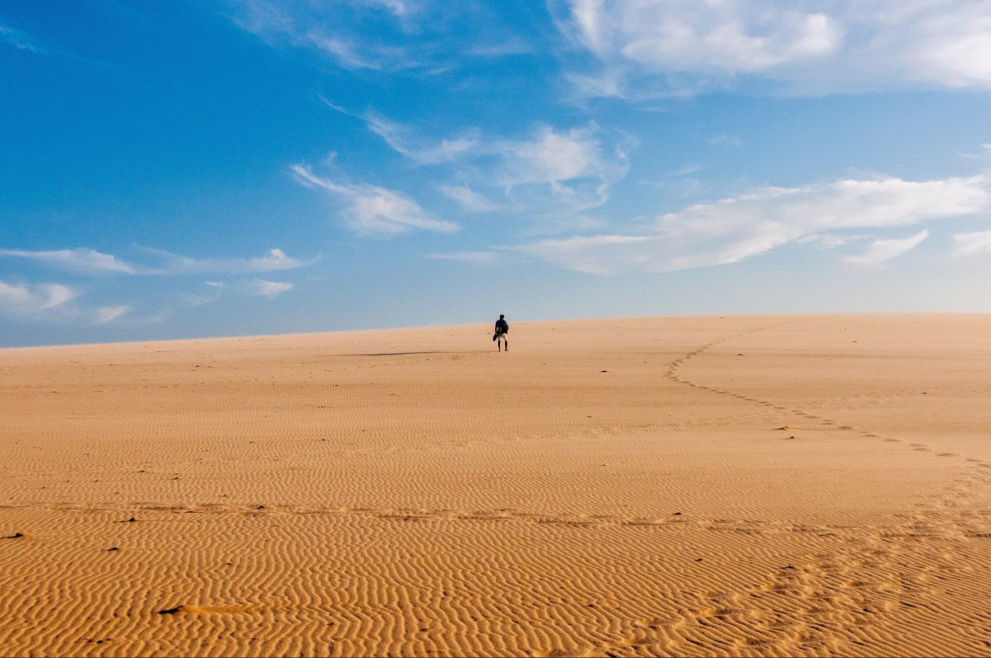 Desert-landscape